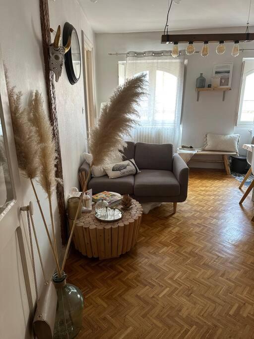 Appartement Carmes, Hypercentre Toulouse Eksteriør bilde